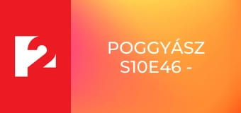 Poggyász  S10E46 - Episode 46