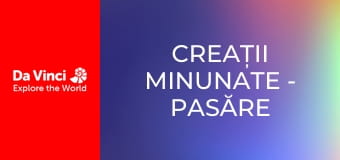 Creații minunate - Pasăre cu picioare mari