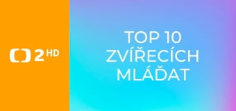 TOP 10 zvířecích mláďat - Nejroztomilejší