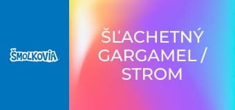 Šľachetný Gargamel / Strom Na Peniaze