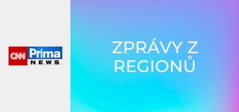 Zprávy z regionů