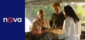 Kriminálka Miami S1E8 - Nepříčetnost