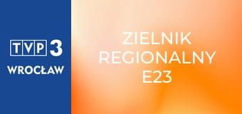 Zielnik regionalny E23