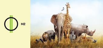 Állati! - Találmányok