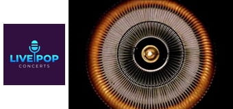 Pop Profiles - Asap Rocky