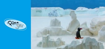 Pingu Sezon 2 Odcinek 8 Pingu Sezon 2 Odcinek 8