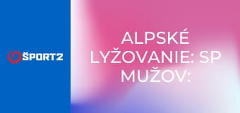 Alpské lyžovanie: SP mužov: Lillehammer