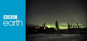 Life Below Zero S12E13