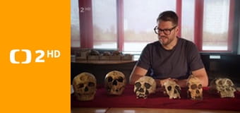 Zprávy v českém znakovém jazyce