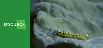 H2O - Wodne Historie S1E1 - Błękitna Planeta