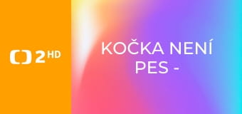 Kočka není pes - Hyperaktivní Waikiki a utlačovaný Oskar