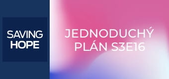 Jednoduchý plán S3E16