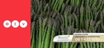 Televíziós vásárlási műsorablak