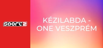 Kézilabda - One Veszprém - Dinamo Bucuresti