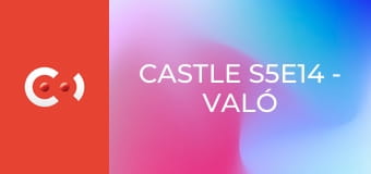 Castle S5E14 - Való világ
