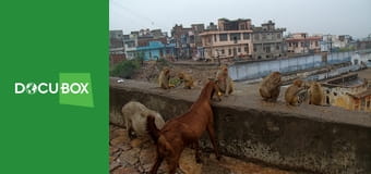 Oto atak obcych najeźdźców