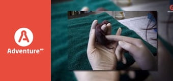 Pogotowie dzikich zwierząt E4