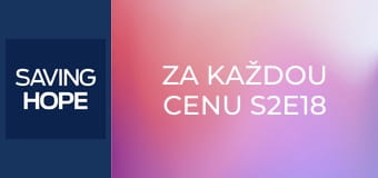 Za každou cenu S2E18