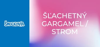 Šľachetný Gargamel / Strom Na Peniaze