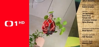 Úctivá poklona, ​​pán Kohn