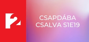 Csapdába csalva S1E19