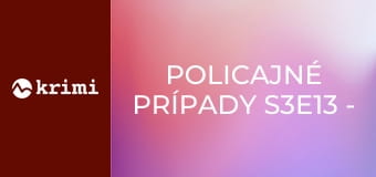 Policajné prípady S3E13 - Dieťa v kontajneri, Domáce násilie, Votrelec, Napadnutie boxerom