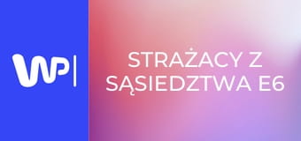 Strażacy z sąsiedztwa E6