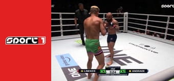 ONE. One Weekly 48. - ism., HD