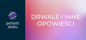 Drwale i inne opowieści Bieszczadu S10E9