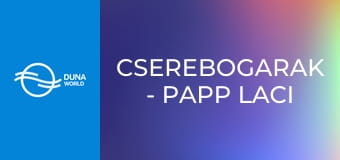 Cserebogarak - Papp Laci