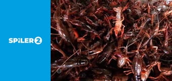 Fuvarozók háborúja S2E8 - Sárbogár Boogie