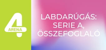 Labdarúgás: Serie A, összefoglaló - 14. forduló