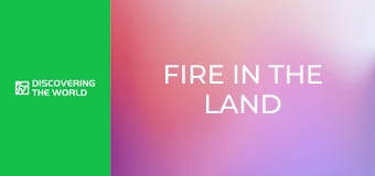 Fire in the Land of Snow: Self-Immolations in Tibet