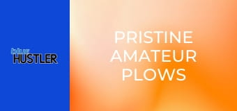 Pristine Amateur Plows