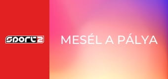 Mesél a pálya. Eusebio