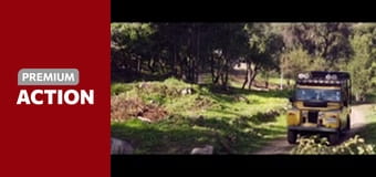 Gun Shy – Hrdina náhodou