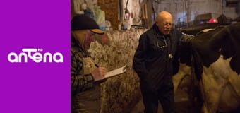 Niezwykły dr Pol S2E9 - Letnie upały