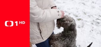 Čo naše staré mamy vedeli a na čo my sme zabudli