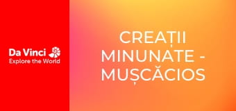 Creații minunate - Mușcăcios de burete