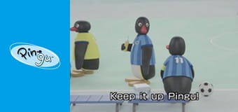 Pingu w miescie Sezon 1 Odcinek 21