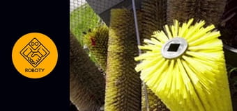 ILE MOŻNA ZAROBIĆ ZAMIATAJĄC ULICE?