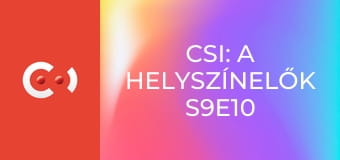 CSI: A helyszínelők S9E10 - Az utolsó