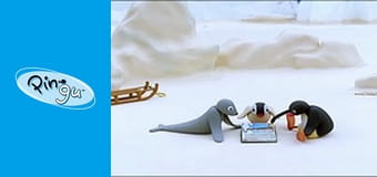 The Pingu Show Sezon 1 Odcinek 49