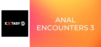 Anal Encounters 3