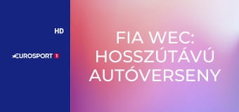 FIA WEC: Hosszútávú autóverseny Világbajnokság Austin 6h - Verseny