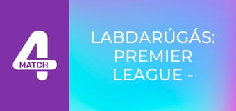 Labdarúgás: Premier League - Brighton – Arsenal