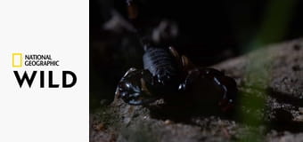 Ukryte piękno Europy E4 - Grecja