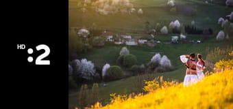 Svetozár Stračina - počuť vôňu živého