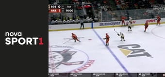 NHL: Anaheim Ducks - Boston Bruins