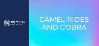 Camel rides and cobra vs. mongoose fights. Pakistan.